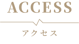 ACCESS